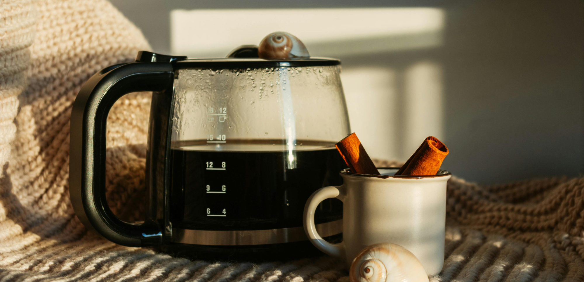 Guía para elegir cafetera de goteo en México